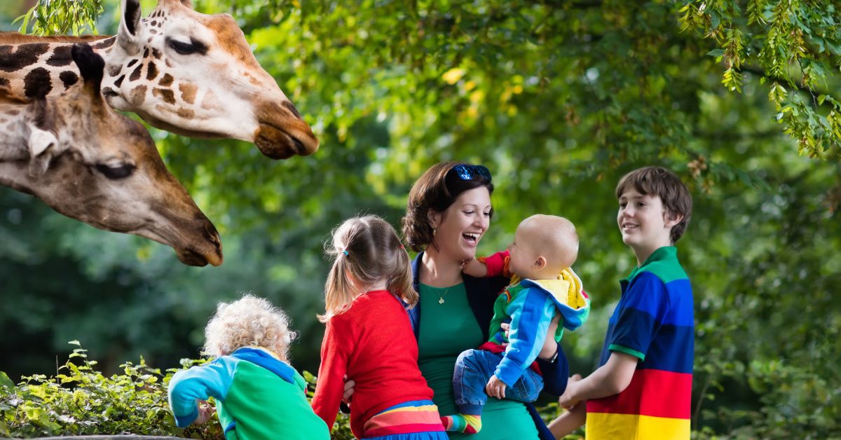 Børn i Zoo Børn i Zoo